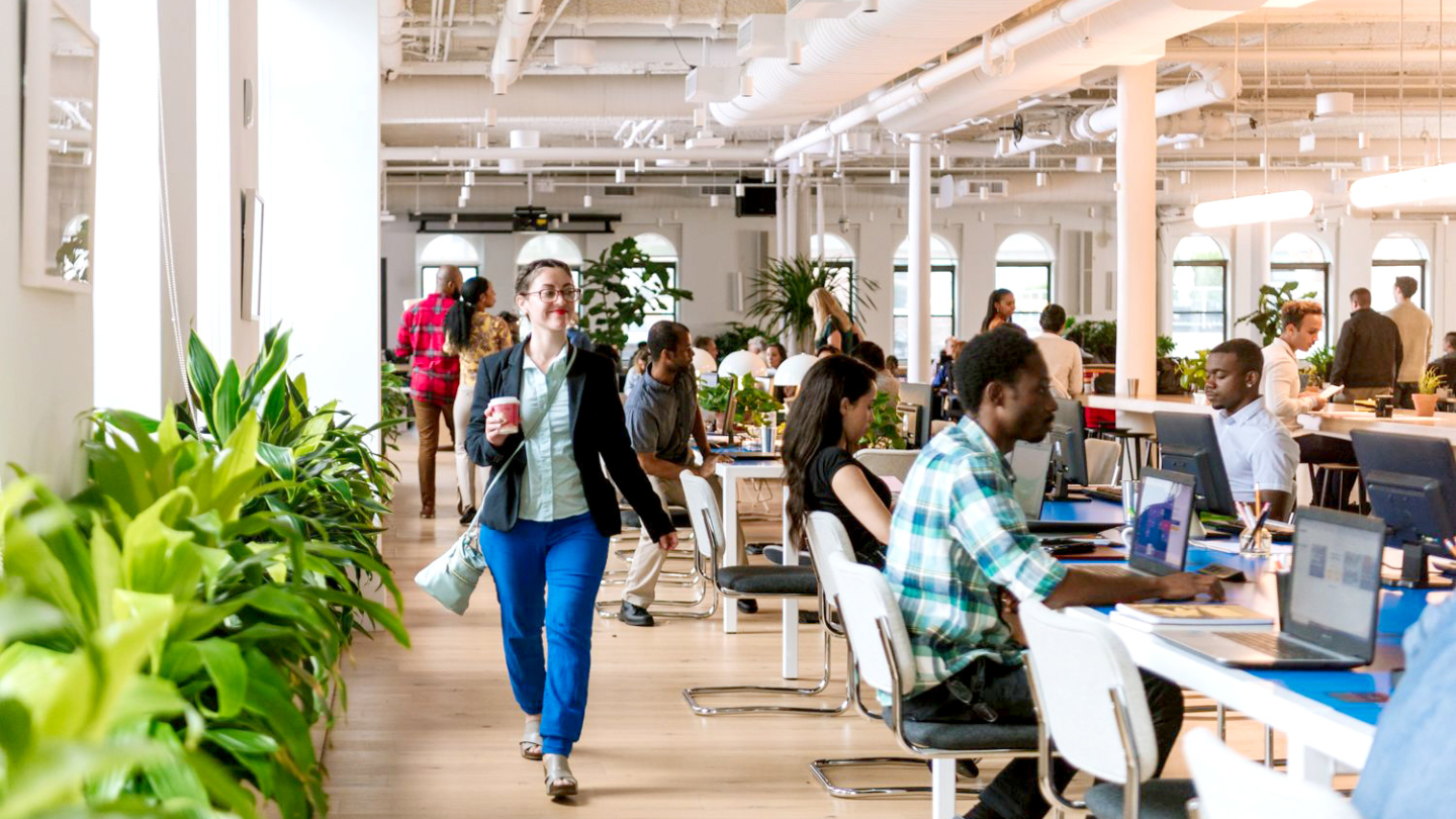Investment Company Thumbnail